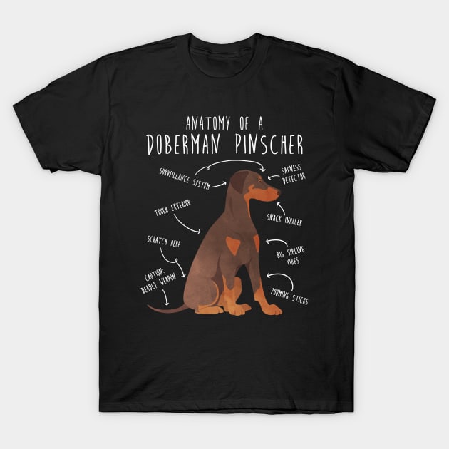 Doberman Anatomy T-Shirt by Psitta